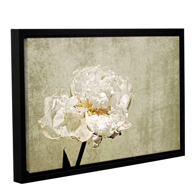 Charlton Home 'Elegant White Peony 2' Framed Graphic Art Print on Canvas Wayfair